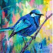 Blue Wren